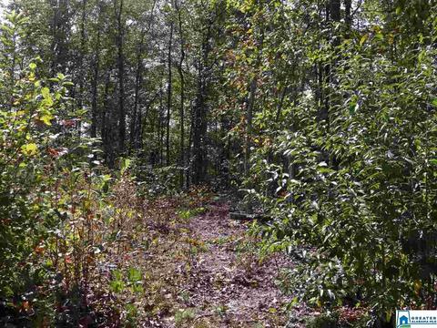 3444 Red Valley Rd, Remlap, AL 35133 photo 35