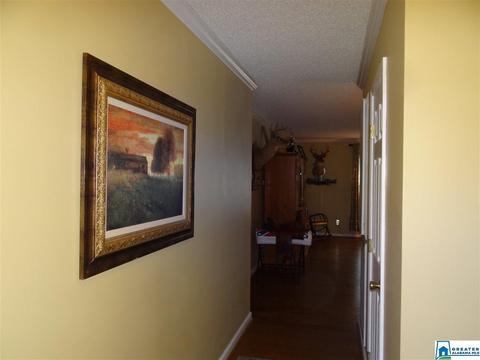 3444 Red Valley Rd, Remlap, AL 35133 photo 9