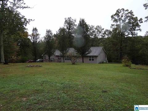 3444 Red Valley Rd, Remlap, AL 35133 photo 25