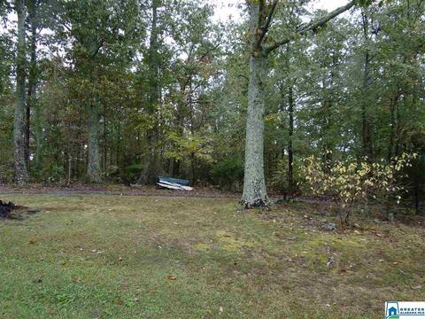 3444 Red Valley Rd, Remlap, AL 35133 photo 27