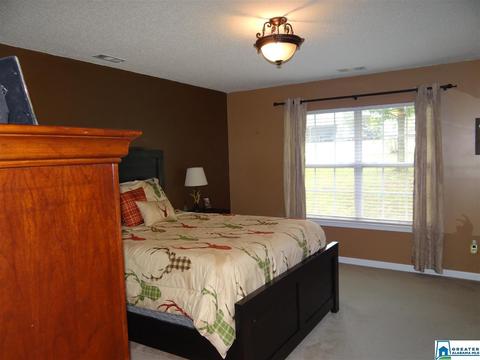 3444 Red Valley Rd, Remlap, AL 35133 photo 11