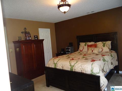3444 Red Valley Rd, Remlap, AL 35133 photo 12
