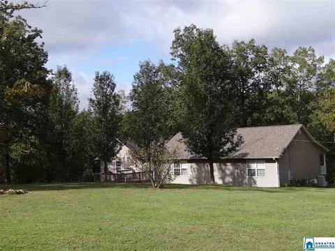 3444 Red Valley Rd, Remlap, AL 35133 photo 34