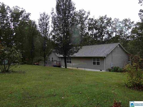3444 Red Valley Rd, Remlap, AL 35133 photo 26