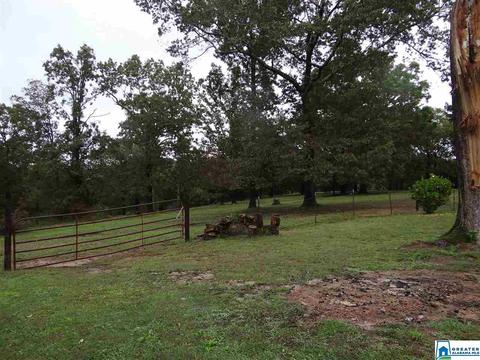 3444 Red Valley Rd, Remlap, AL 35133 photo 24
