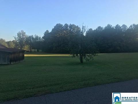 320 Saragossa Rd, Jasper, AL 35503 photo 10