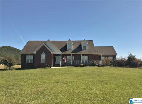 2688 Tallasahachee Rd, Alpine, AL 35014 photo 1