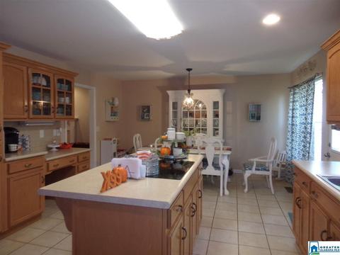 13834 Ginger Dr, Mc Calla, AL 35111 photo 14