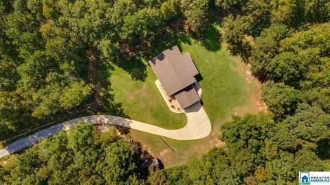 5482 County Road 41, Clanton, AL 35046 photo 50