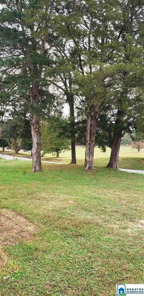 724 1st Ave E, Oneonta, AL 35121 photo 29