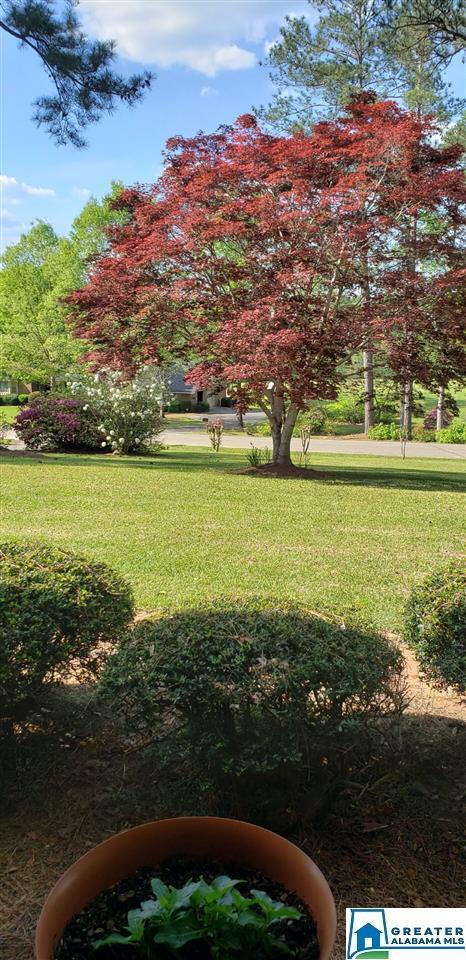 505 Pineview Rd, Clanton, AL 35045 photo 29