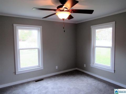 3611 Double Bridge Rd, Steele, AL 35987 photo 11
