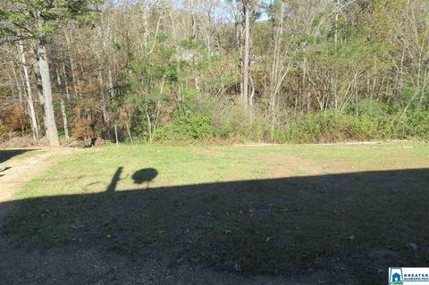 578 Davidson Dr, Locust Fork, AL 35097 photo 20