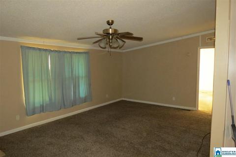 578 Davidson Dr, Locust Fork, AL 35097 photo 5