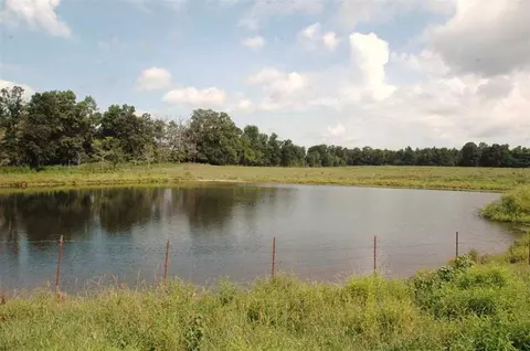 3437 Hwy 55, Eva, AL 35621 photo 6