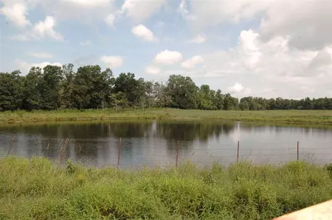 3437 Hwy 55, Eva, AL 35621 photo 5