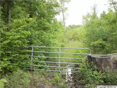 1065 County Road 431, Trinity, AL 35673 photo 1