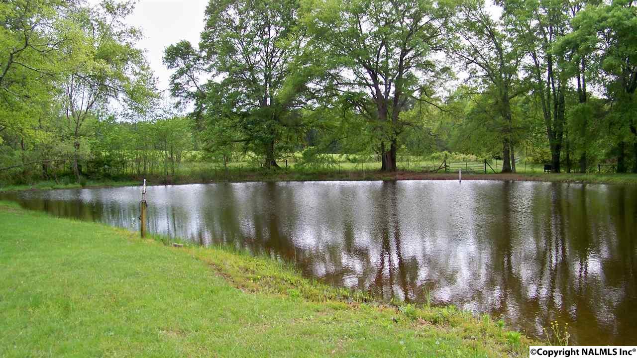 1066 George Johnson Rd, Boaz, AL 35956 photo 1
