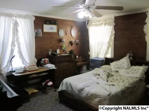 29786 Easter Ferry Rd, Lester, AL 35647 photo 32