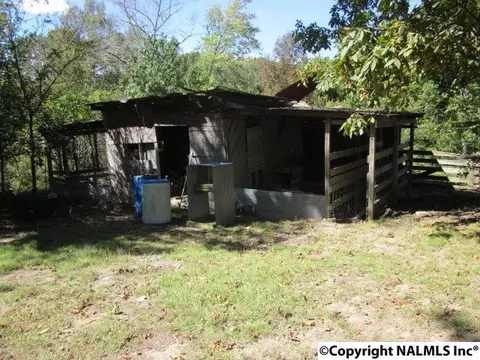 29786 Easter Ferry Rd, Lester, AL 35647 photo 14