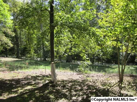 29786 Easter Ferry Rd, Lester, AL 35647 photo 15