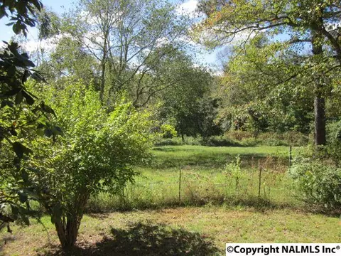 29786 Easter Ferry Rd, Lester, AL 35647 photo 16
