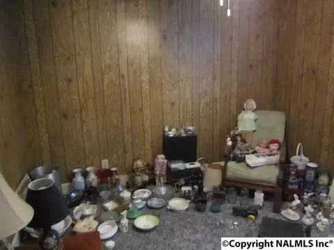 29786 Easter Ferry Rd, Lester, AL 35647 photo 29