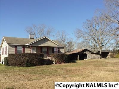 1125 County Road 17, Leesburg, AL 35983 photo 1