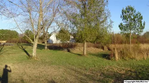 178 Pepper Rd, Taft, TN 38488 photo 36