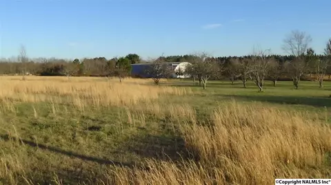 178 Pepper Rd, Taft, TN 38488 photo 39