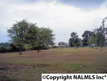 178 Pepper Rd, Taft, TN 38488 photo 32