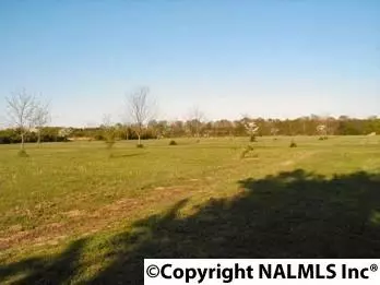 178 Pepper Rd, Taft, TN 38488 photo 21