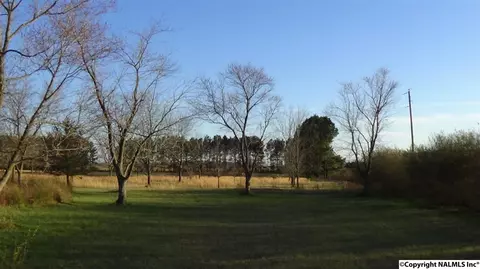 178 Pepper Rd, Taft, TN 38488 photo 34