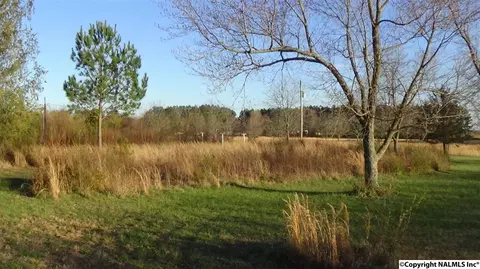 178 Pepper Rd, Taft, TN 38488 photo 37
