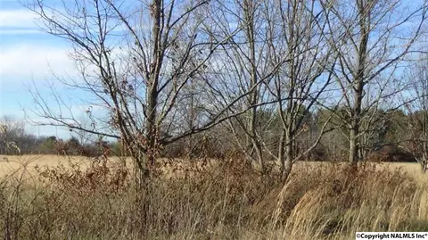 178 Pepper Rd, Taft, TN 38488 photo 26