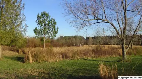 178 Pepper Rd, Taft, TN 38488 photo 35