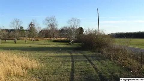178 Pepper Rd, Taft, TN 38488 photo 41