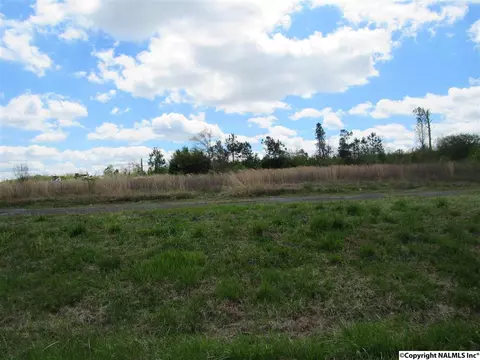 1404 Mobbs School Rd, Arab, AL 35016 photo 2