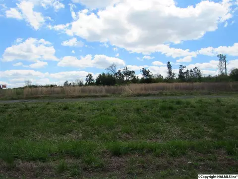 1404 Mobbs School Rd, Arab, AL 35016 photo 6