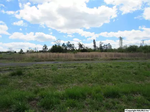 1404 Mobbs School Rd, Arab, AL 35016 photo 7