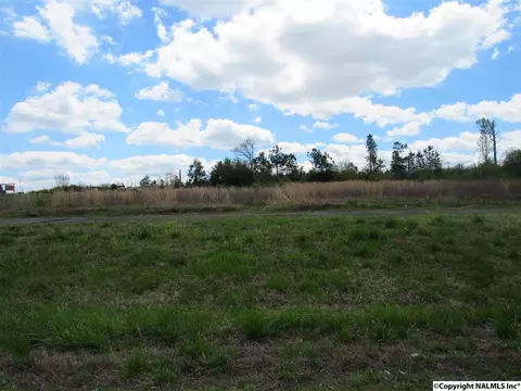 1404 Mobbs School Rd, Arab, AL 35016 photo 5