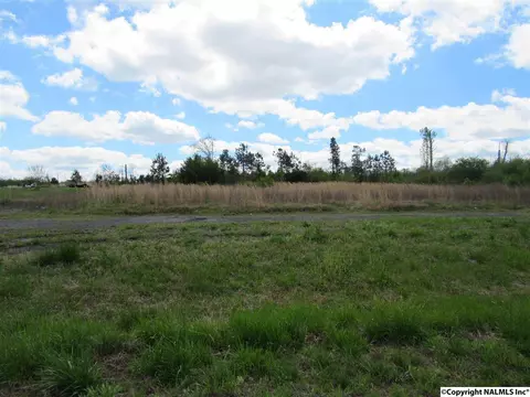 1404 Mobbs School Rd, Arab, AL 35016 photo 8