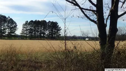 188 Pepper Rd, Taft, TN 38488 photo 26
