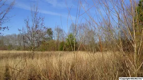 188 Pepper Rd, Taft, TN 38488 photo 21