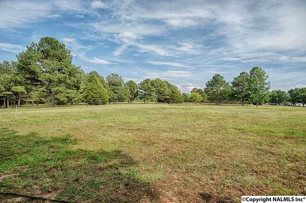 28806 Mitchell Loop, Ardmore, AL 35739 photo 25