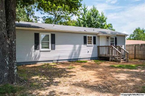 995 Mckee Rd, Toney, AL 35773 photo 1