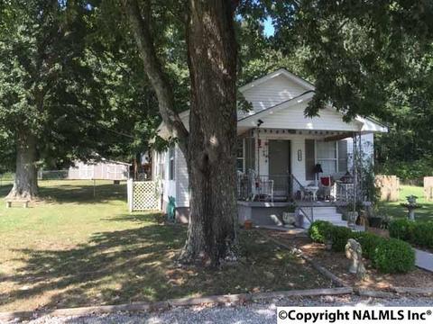 169 John Johnson Rd, Trinity, AL 35673 photo 1