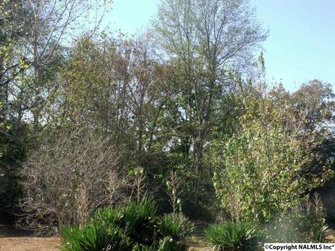 966 Saylor Cir, Arab, AL 35016 photo 10