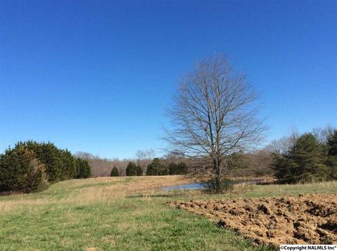 512 Widgren Dr, Arab, AL 35016 photo 27