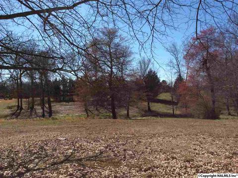 512 Widgren Dr, Arab, AL 35016 photo 32